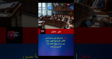 Urgent : Les exportations égyptiennes vers l'Europe dépassent celles des USA, Chine et Inde !