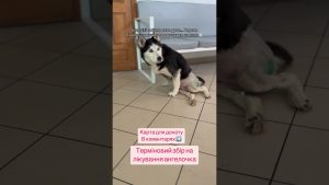 Urgent : Tendances musicales ukrainiennes du jour