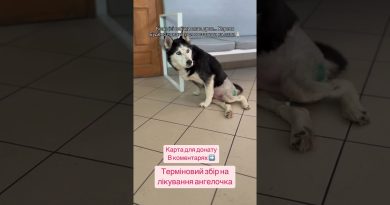 Urgent : Tendances musicales ukrainiennes du jour