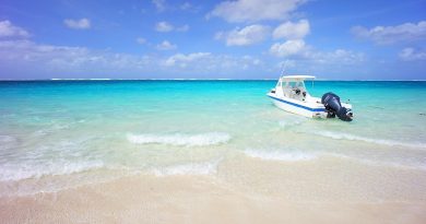 Martinique, Fort-de-France, beach, volcano, palm, rainforest, Creole, boat, island
