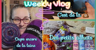 VLOG HEBDOMADAIRE : Nouveaux achats et laine à gogo !