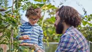 Vent, pluie, instabilité... évitez les dégâts avec un tuteur bien placé dès la plantation - ICI