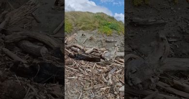 Vents Violents sur la Plage à Foxton, Nouvelle-Zélande !