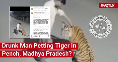 Vérification : Un homme ivre caresse-t-il un tigre à Pench ?