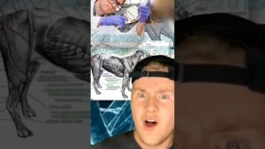 Vérification des faits : Chat vs Chien 🚀 #11 #shorts