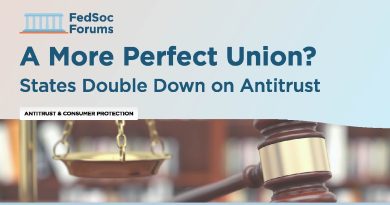 Vers une union idéale ? Les États renforcent l'antitrust