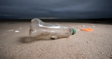 Vêtements, transports, déchets : réduire notre contribution à la pollution aux microplastiques