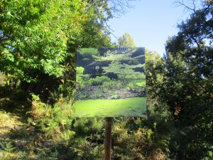 Photo Jean-Joseph Albertini d