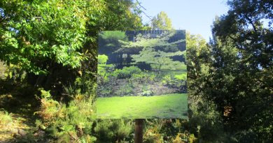 Photo Jean-Joseph Albertini d