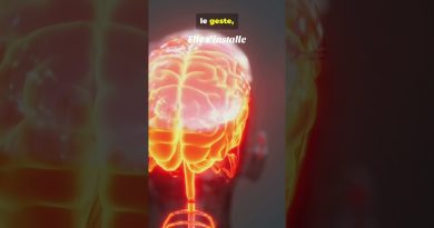 Vidéo 3 : Les clés de la pérennité en prévention des addictions