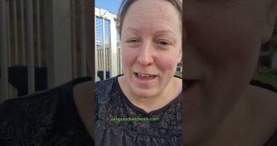 ⚠️ Vidéo rapide sur le vol de contenu et la désinformation !