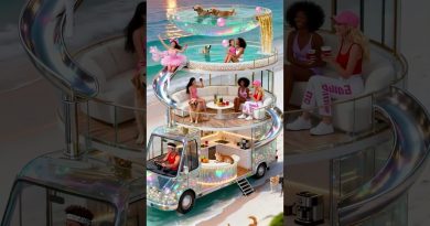 Vie sur la route : Chiens, vagues et rires en camping