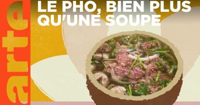 Vietnam : À la découverte du pho | Voyage culinaire ARTE