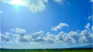 Vigilance météo : le niveau VERT rétabli en Martinique