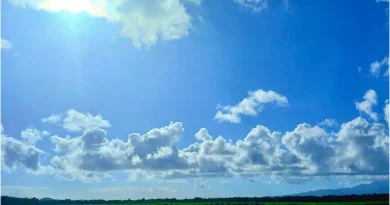 Vigilance météo : le niveau VERT rétabli en Martinique