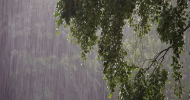 Vigilance orange : fortes pluies attendues sur les îles du Vent