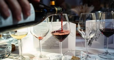 Vignobles : En novembre, c'est le Sud-Ouest qui offre sa tournée - Dis-leur !