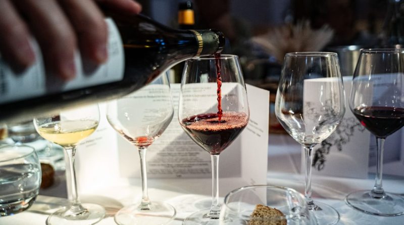 Vignobles : En novembre, c'est le Sud-Ouest qui offre sa tournée - Dis-leur !