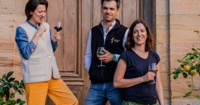 Vignobles : La famille Fabre, vignerons engagés depuis... 1605 ! - Dis-leur !