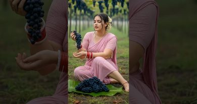 Village Nature : Sons de pluie et tonnerre pour dormir