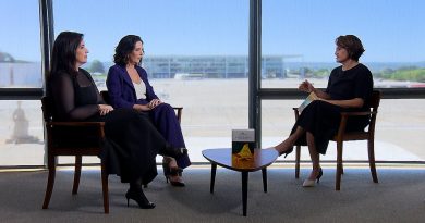 Vínculos affectifs et nouvelle parentalité au Brésil