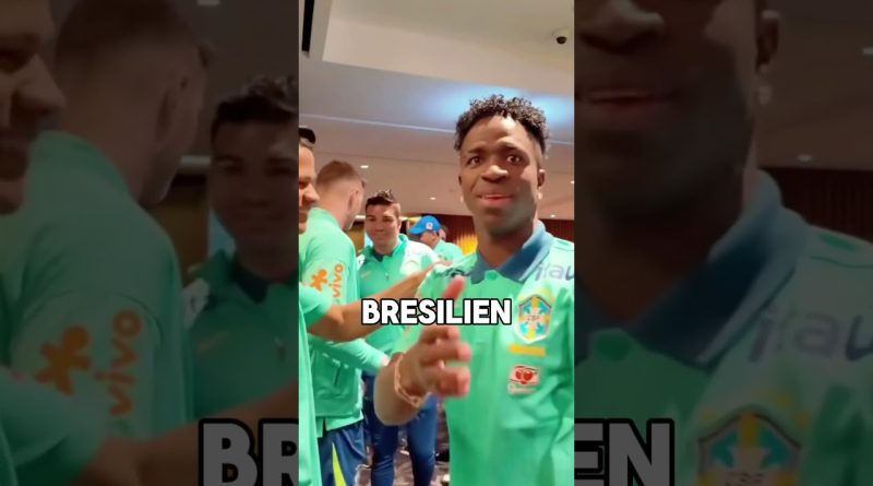 Vinicius : 3 mois de prison au Brésil, les raisons expliquées