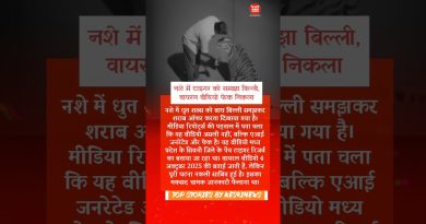 Viral : Le tigre pris pour un chat, vidéo démasquée !