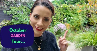 Visite de mon jardin d'octobre : budget et famille