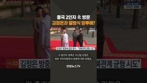 Visite du numéro 2 chinois en Corée du Nord : défilé en vue ?