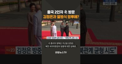 Visite du numéro 2 chinois en Corée du Nord : défilé en vue ?