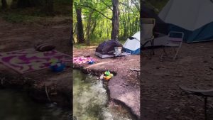 Vivez l'expérience du camping : nature et musique au rendez-vous !