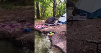 Vivez l'expérience du camping : nature et musique au rendez-vous !