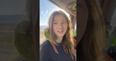 Vivre la saison intermédiaire : histoires de vie en van