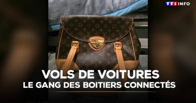 Vols de voitures : le réseau des boîtiers connectés