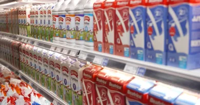 Un étalage de cartons de lait dans une épicerie.