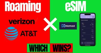 Voyage au Japon : eSIM ou Roaming, quel choix faire ?