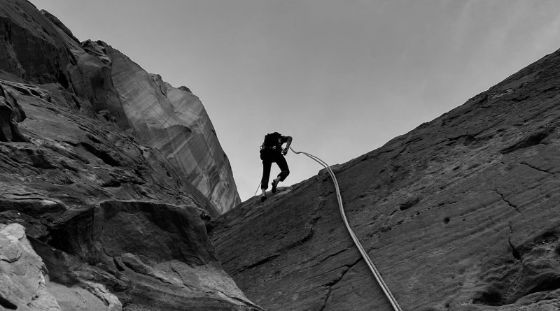 Désert rats in the shade