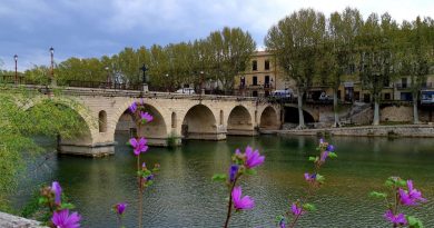Voyager sans voiture : Guillaume Payen a testé une balade en bus à Sommières - ICI