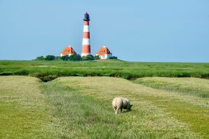 Bretagne, Rennes, Brest, coast, lighthouse, beach, village, Celtic, cliffs, landscape