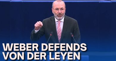 Weber riposte : « C'est ridicule, arrêtez de détourner la démocratie ! »
