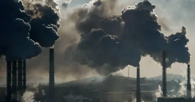 Climat : les émissions de CO2 liées aux énergies fossiles atteignent un niveau record en 2025