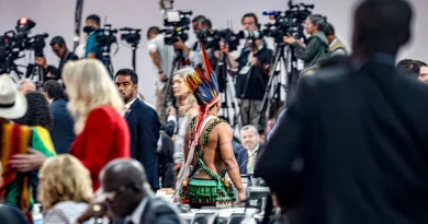 COP30 à Belém : les négociations pour le climat piétinent - L'Humanité