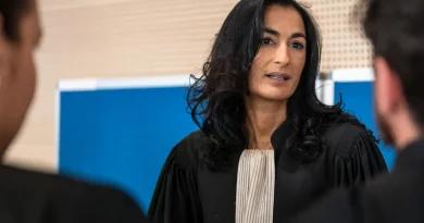 Procès des viols de Mazan : l'avocate Nadia El Bouroumi devant le conseil de discipline