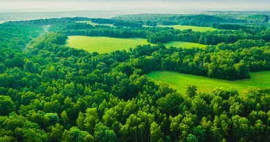 Environnement : le Parlement européen retarde la loi antidéforestation avec l'appui de l'extrême droite