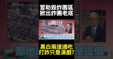 Xi Jinping dévoile un réseau de blanchiment d'argent international