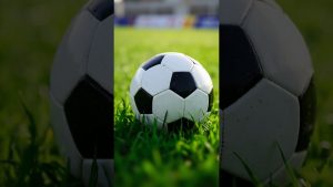 Youssouf Mulumbu : la surprenante révélation de Marseille