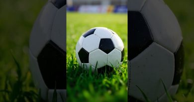 Youssouf Mulumbu : la surprenante révélation de Marseille