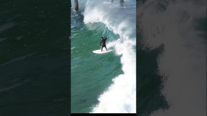 ZEN et la VAGUE : Harmonie et Équilibre