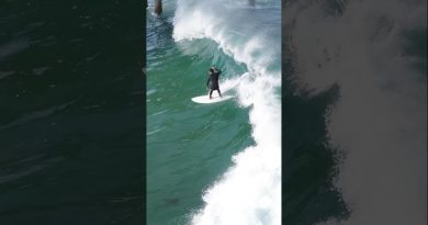 ZEN et la VAGUE : Harmonie et Équilibre