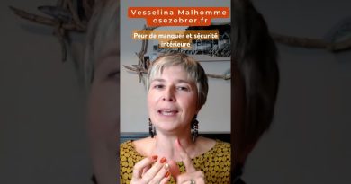 Zèbres : surmonter la peur de manquer et trouver la sécurité